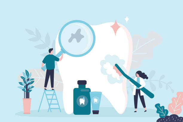 Professional  Holistic Dental Services in Havana, FL